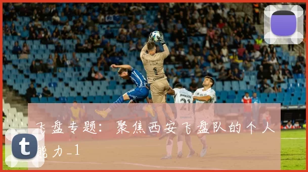 飞盘专题：聚焦西安飞盘队的个人能力_1