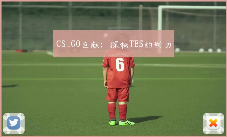 CS_GO巨献：探秘TES的耐力